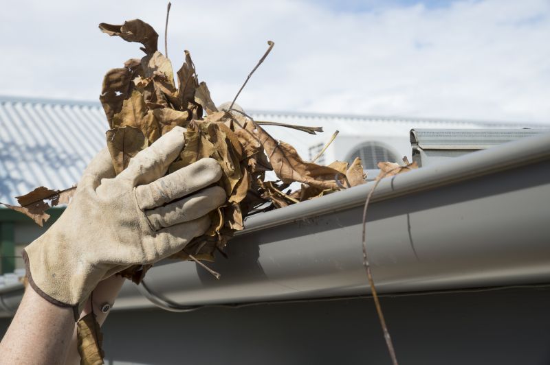 Gutter Blockage Removal in Annapolis, MD