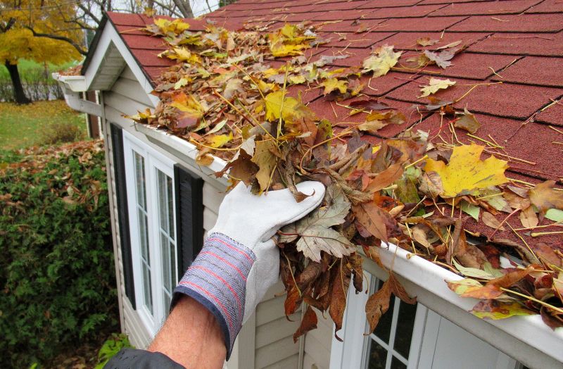 Gutter Leaf Clearing in Bergen County, NJ