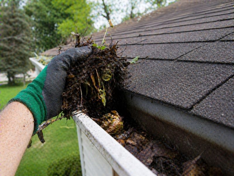 Gutter Blockage Removal in Boulder, CO