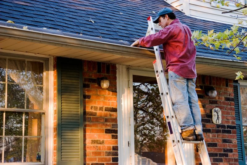 Gutter Cleaning in Fredericksburg, VA
