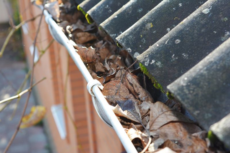 Gutter Leaf Clearing in Arvada, CO