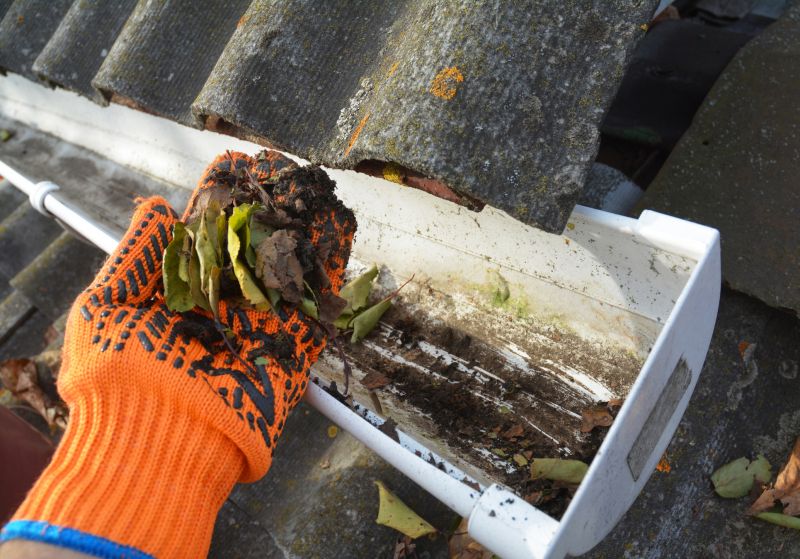Gutter Leaf Clearing in Fredericksburg, VA