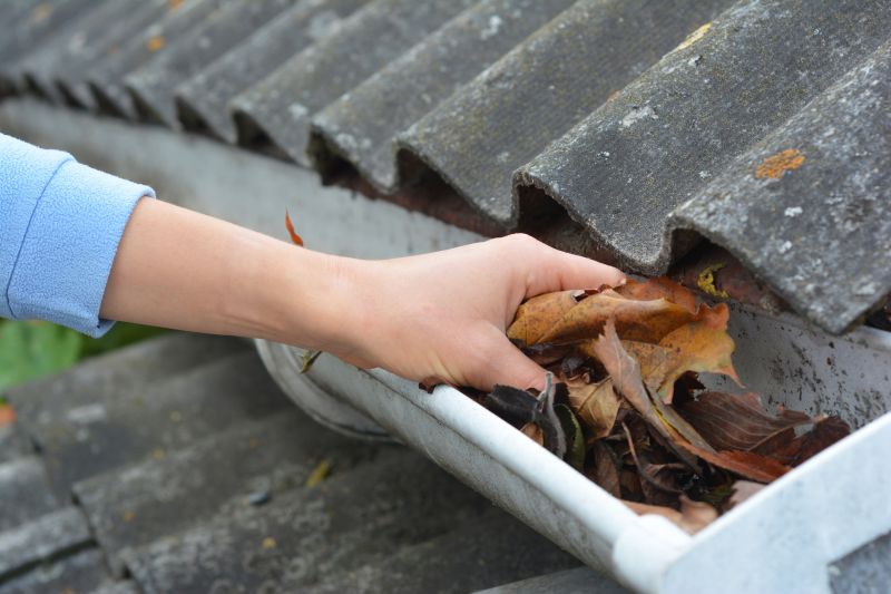 Gutter Leaves Removal in Frederick, MD