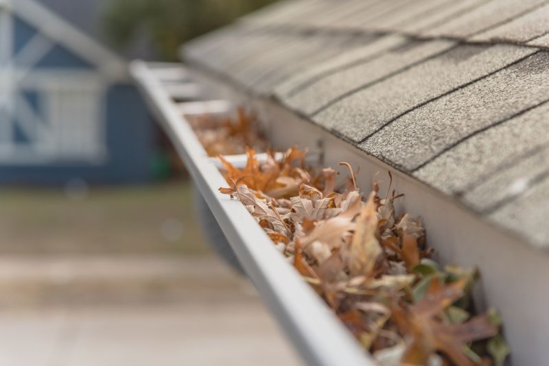 Gutter Leaves Removal in Frederick, MD