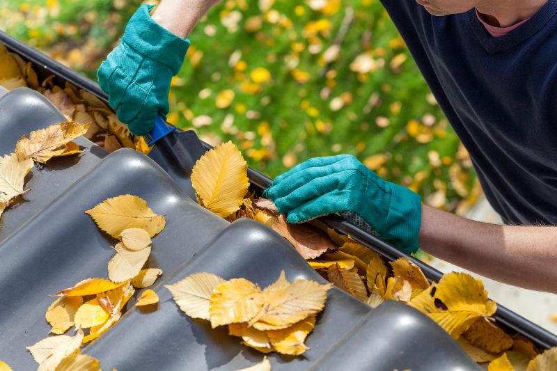 Gutter Leaves Removal in Arvada, CO