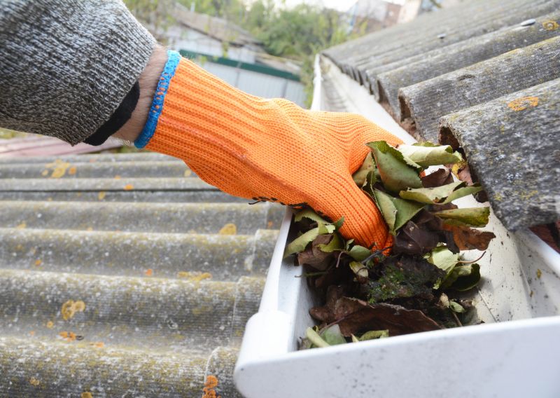 Gutter Pine Needle Removal in Monmouth County, NJ