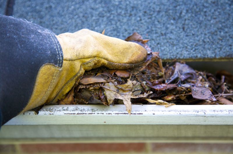 Gutter Pine Needle Removal in Pittsburgh, PA